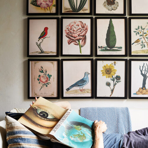 John Derian Picture Book